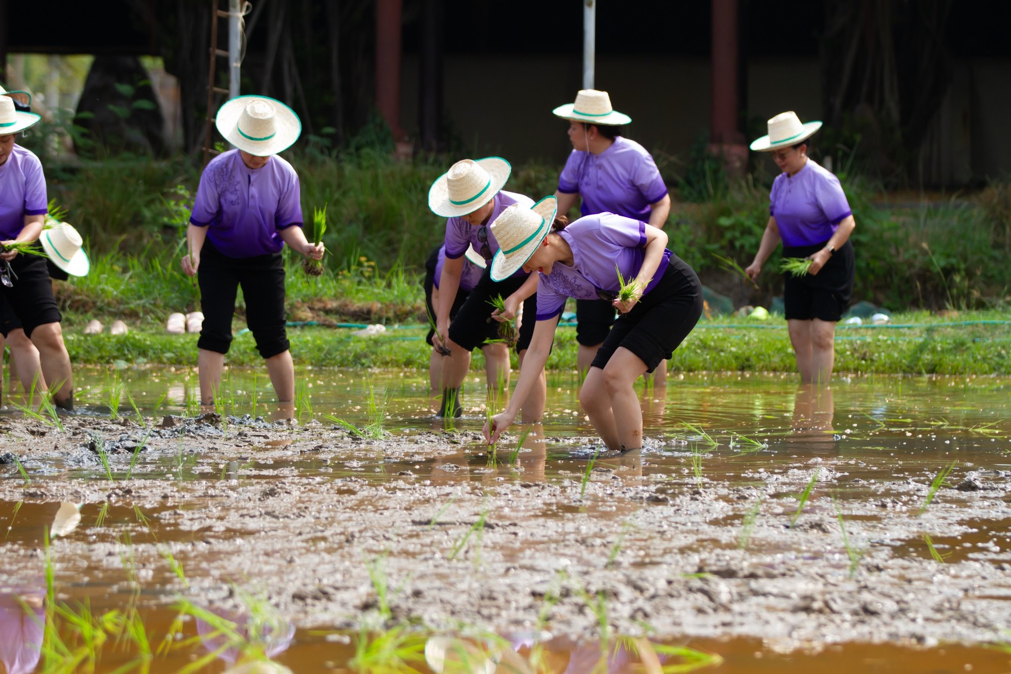 ๐๕๗ โครงการครอบครัวพอเพียง จัดกิจกรรม "พอเพียง พึ่งพา พัฒนาตนเอง"