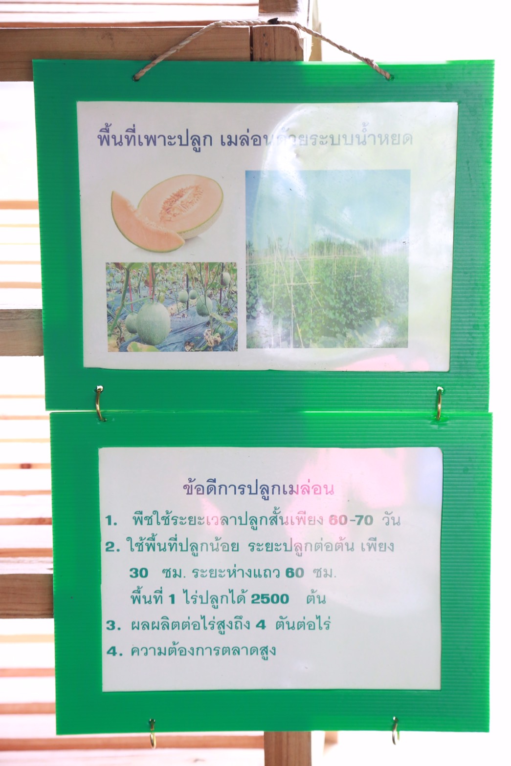 151 นายกสมาคมภริยาฯ นำคณะกรรมการสมาคมภริยาฯ เข้าเยี่ยมชมศูนย์การเรียนรู้เศรษฐกิจพอเพียงเฉลิมพระเกียรติ โรงงานวัตถุระเบิดทหาร จังหวัดนครสวรรค์