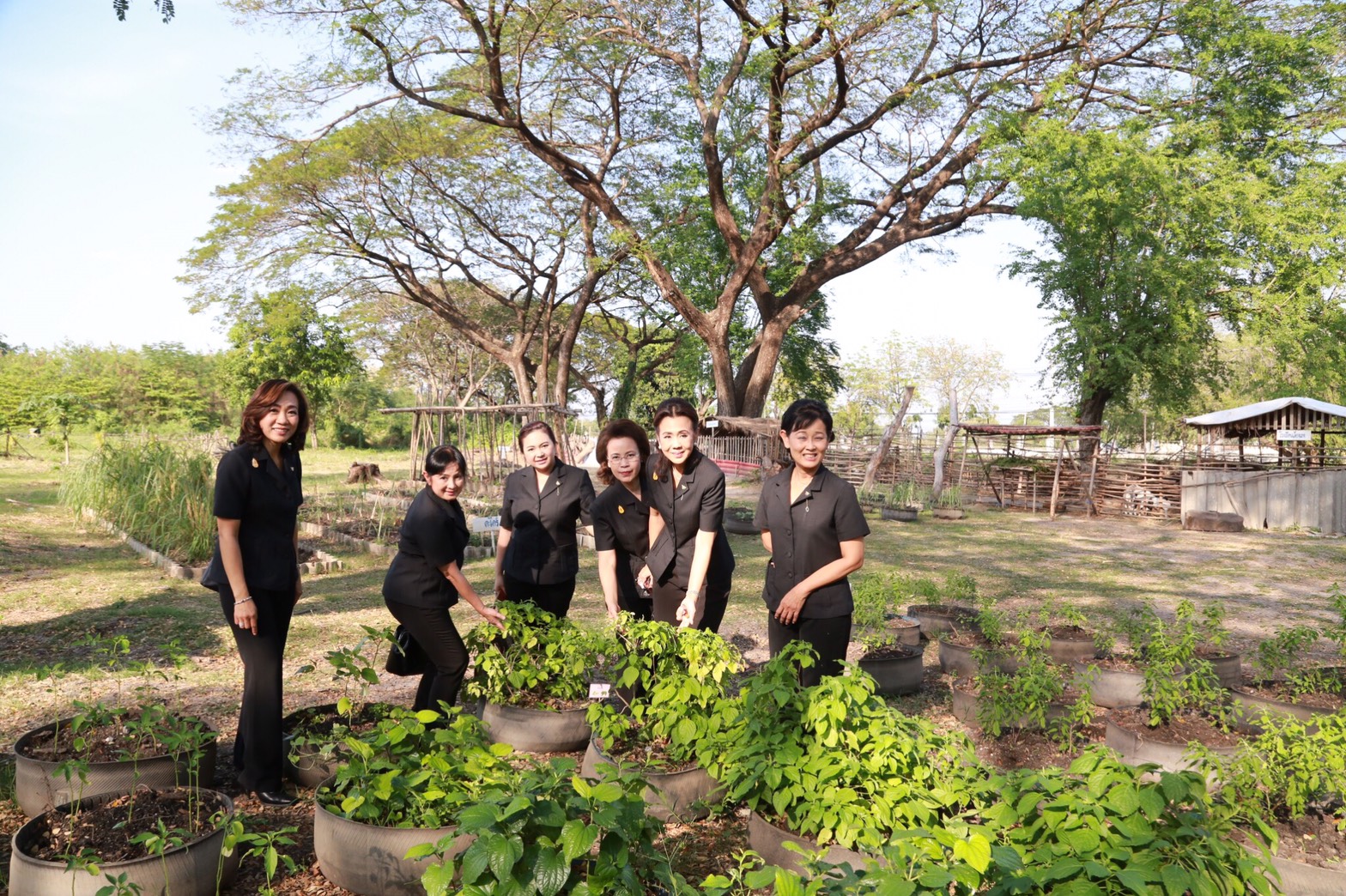 034 เมื่อวันที่ 31 มกราคม 2560 นายกสมาคมภริยาฯ พร้อมด้วยคณะกรรมการสมาคมฯ เดินทางไปตรวจเยี่ยมและติดตามการดำเนินงาน โครงการบริหารจัดการขยะรักษาสิ่งแวดล้อม โครงการศูนย์ส่งเสริมการเรียนรู้ โครงการครอบครัวพอเพียงและโครงการสายใยรักษ์:เพื่อคนพิเศษ ณ ค่ายจิรวิชิตสงคราม จ.ลพบุรี