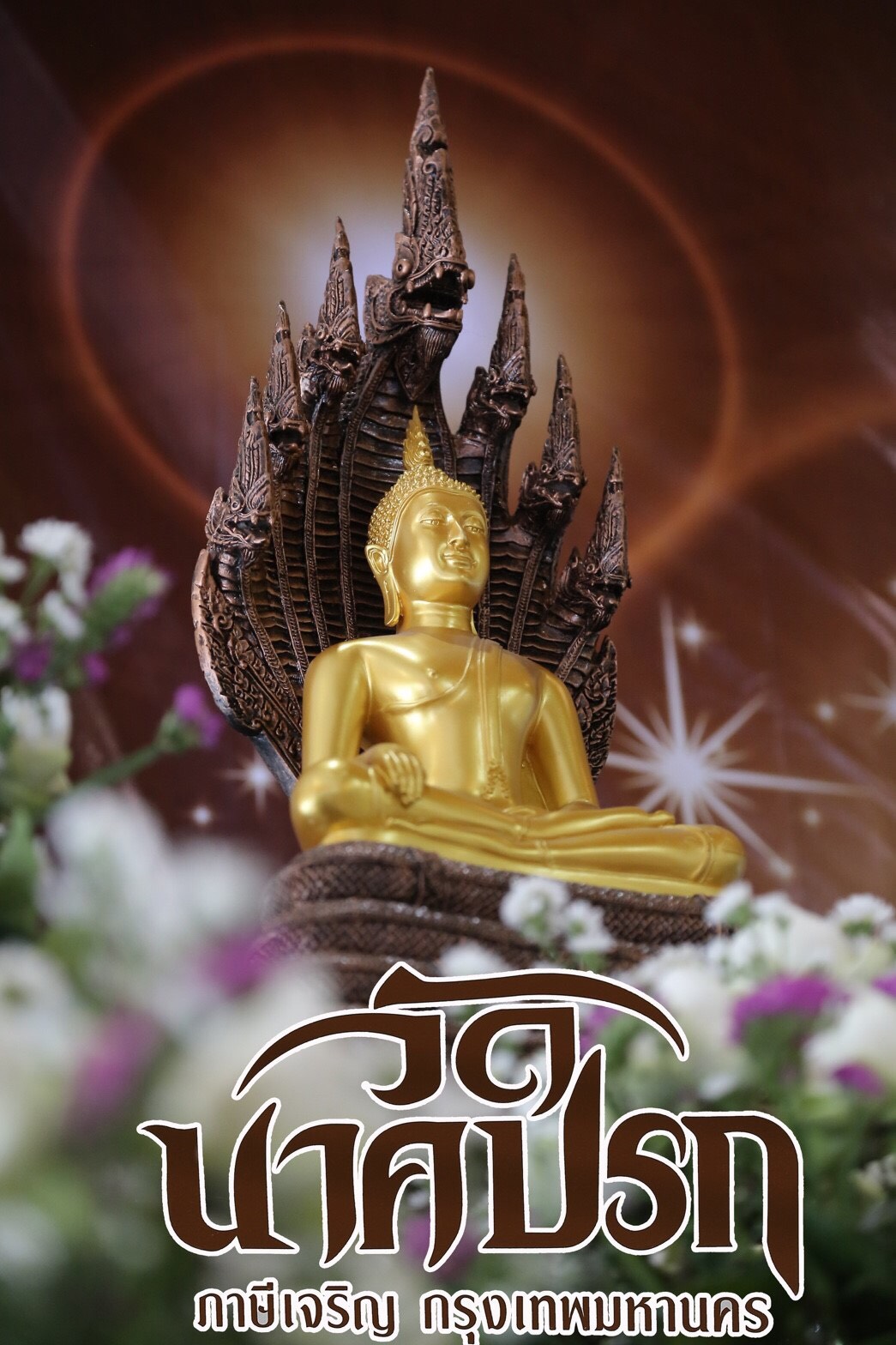 049 เมื่อวันที่ 17 มีนาคม 2560 ประธานฝ่ายกิจกรรมและโครงการสมาคมภริยาฯ เป็นผู้แทนนายกสมาคมภริยาฯ พ...