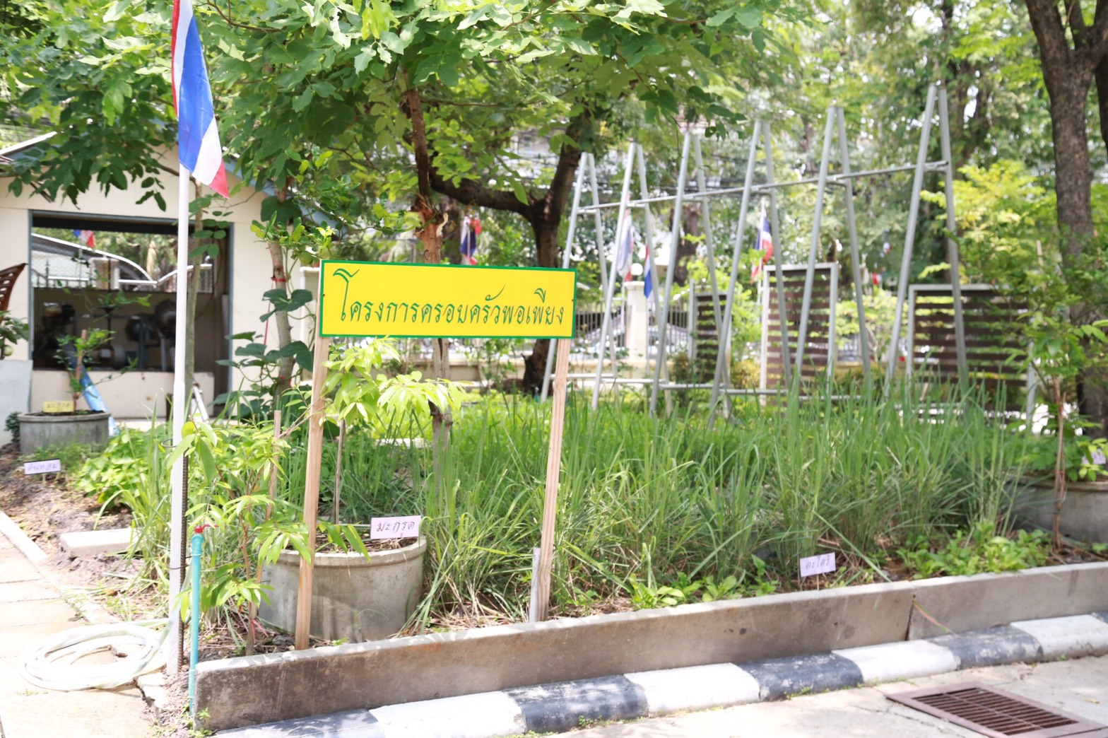 058 เมื่อวันที่ 28 เมษายน 2560 นายกสมาคมภริยาฯ พร้อมด้วยคณะกรรมการสมาคมฯ เดินทางไปตรวจเยี่ยมและติดตามการดำเนินงาน โครงการฯ ในพื้นที่พักอาศัยแขวงบางจาก โรงงานเภสัชกรรมทหาร ศูนย์การอุตสาหกรรมป้องกันประเทศและพลังงานทหาร พื้นที่พักอาศัยแจ้งวัฒนะ และพื้นที่พักอาศัยศรีสมาน