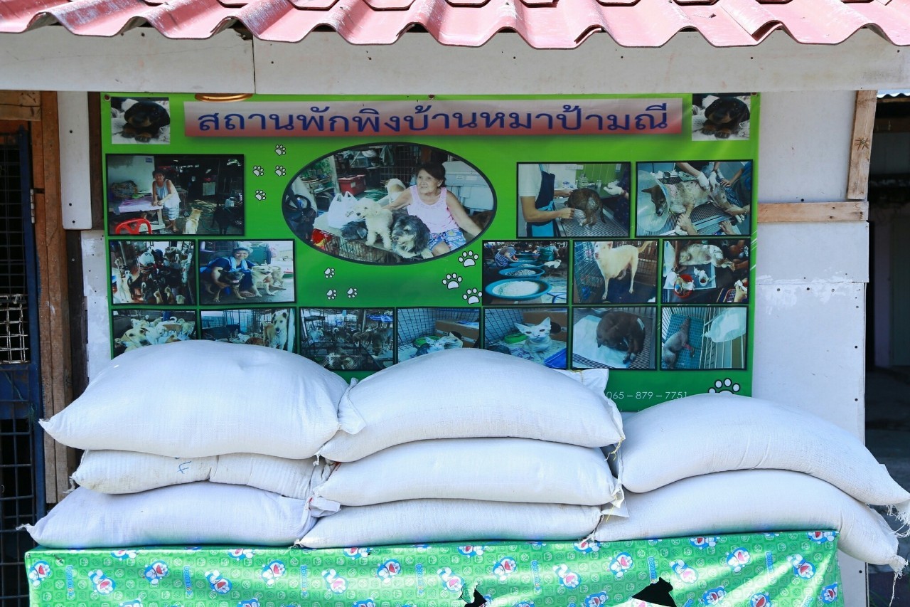 ๐๕๑ นายกสมาคมภริยาข้าราชการสำนักงานปลัดกระทรวงกลาโหม และคณะ จัดกิจกรรมฉีดวัคซีนป้องกันโรคพิษสุนัขบ้าให้กับสุนัขและแมวจรจัด