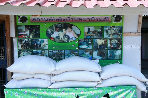 ๐๕๑ นายกสมาคมภริยาข้าราชการสำนักงานปลัดกระทรวงกลาโหม และคณะ จัดกิจกรรมฉีดวัคซีนป้องกันโรคพิษสุนัขบ้าให้กับสุนัขและแมวจรจัด